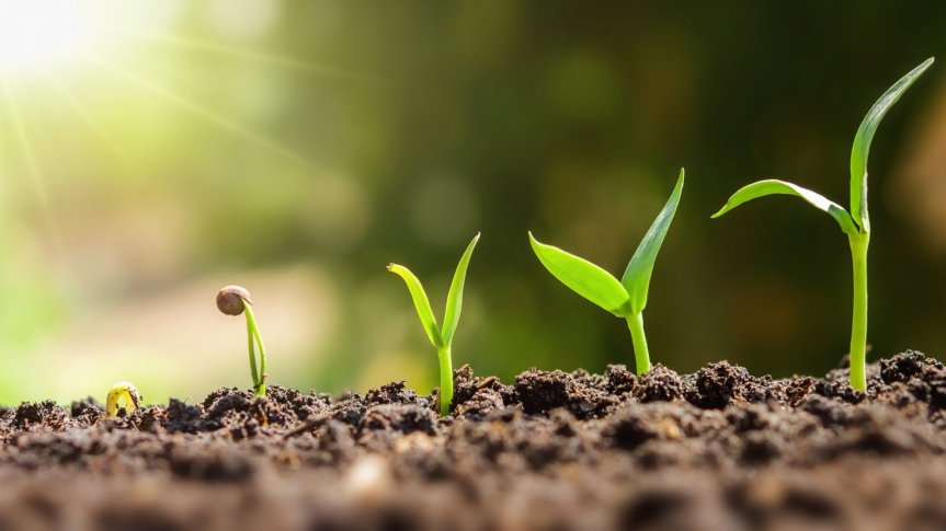 Sometimes You Must Suffer To&nbsp;Grow