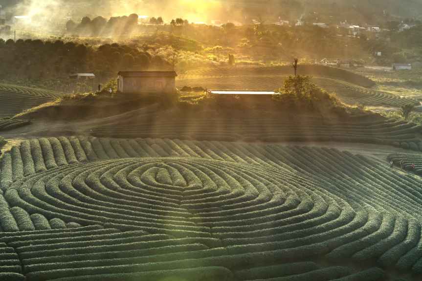 Unraveling the Maze of Medicare Supplemental&nbsp;Insurance